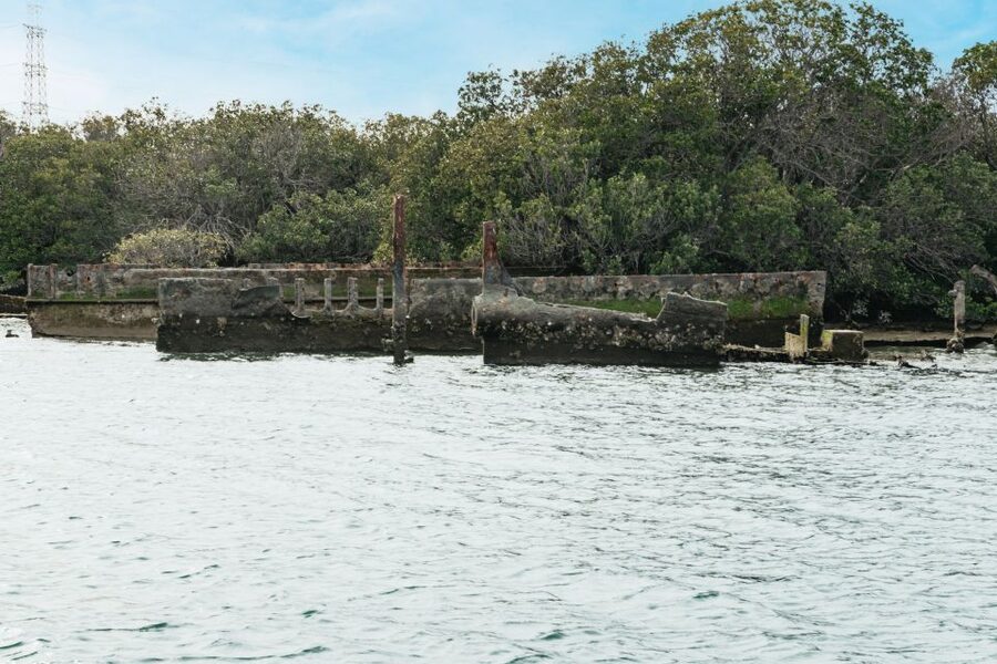 Port Adelaide: Dolphin and Ships Graveyard Cruise - Searching the Adelaide Dolphin Sanctuary