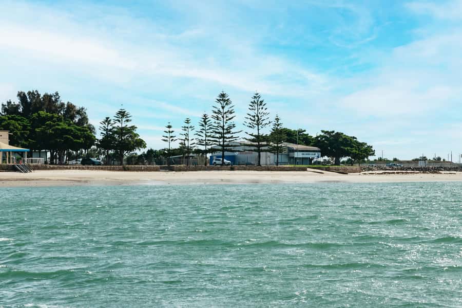 Port Adelaide: Dolphin and Ships Graveyard Cruise - Passing the International Bird Sanctuary
