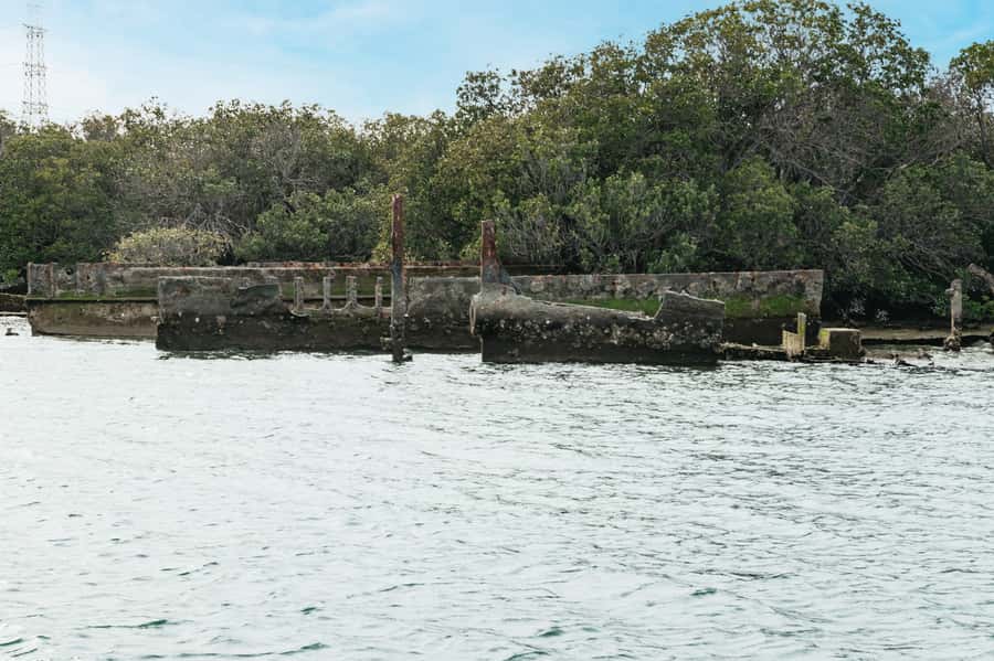 Port Adelaide: Dolphin and Ships Graveyard Cruise - What the guides add to the 90 minutes