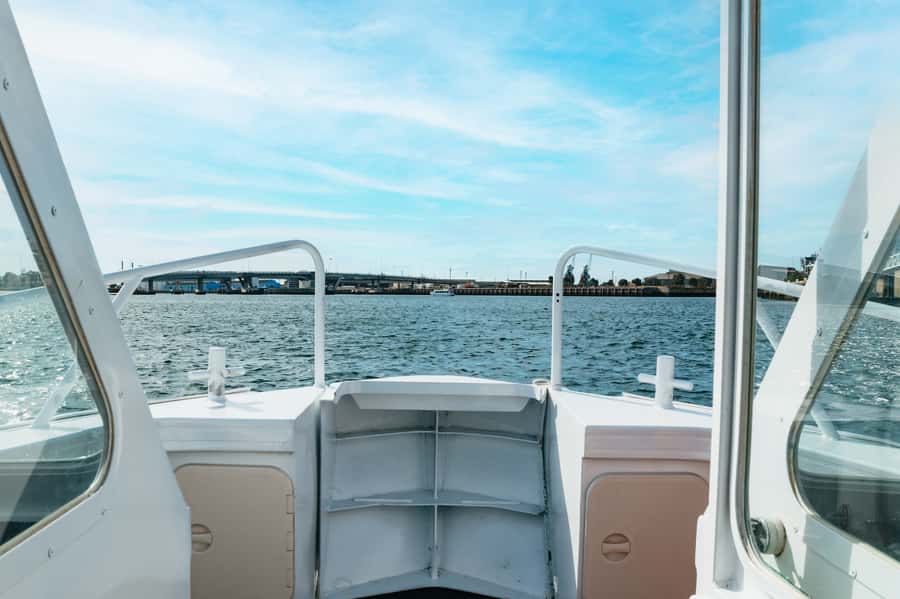 Port Adelaide: Dolphin and Ships Graveyard Cruise - Who will enjoy this cruise most?
