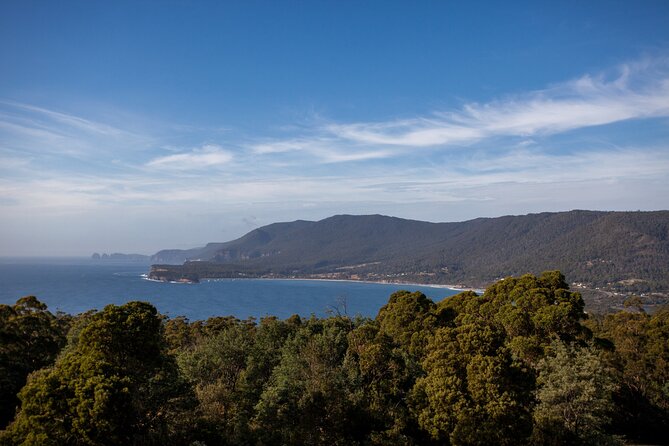 Port Arthur, Richmond & Tasman Peninsula Active Day Tour - Why this 11-hour day works from Hobart