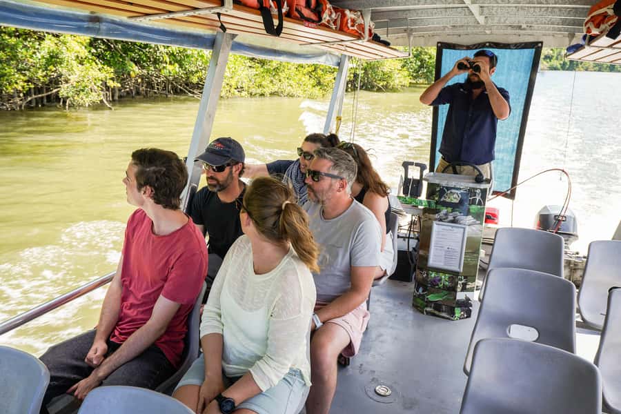 Port Douglas: Afternoon Daintree Tour w/ Wildlife Cruise - A Five-Hour Shortcut to the Daintree