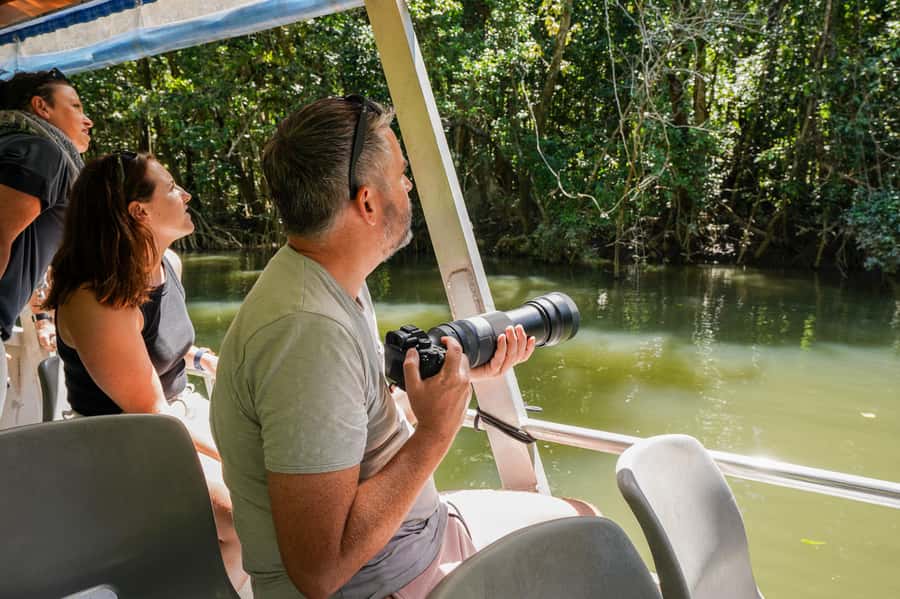 Port Douglas: Afternoon Daintree Tour w/ Wildlife Cruise - The Guide Makes the Short Schedule Work