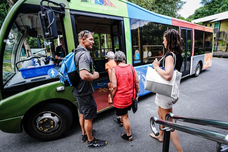 Port Douglas: Best of Daintree Rainforest Day Tour - The boardwalk shows how the rainforest functions