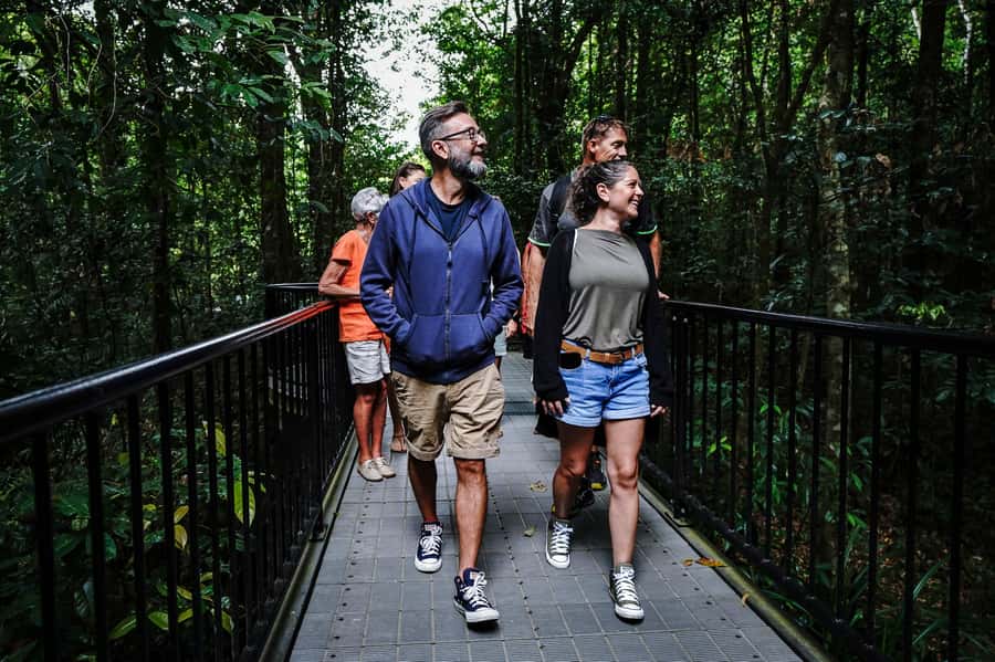 Port Douglas: Best of Daintree Rainforest Day Tour - Lunch at Heritage Lodge and a rare chance to swim