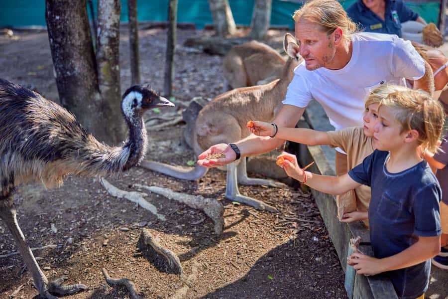 Port Douglas: Breakfast with the Birds - What happens between 8 and 9 AM