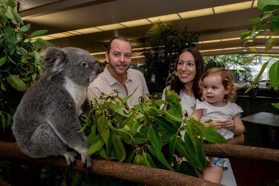 Port Douglas: Breakfast with the Birds - Dietary needs, access, and practical planning