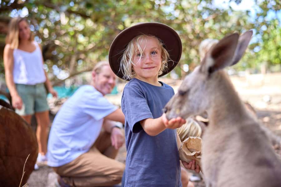 Port Douglas: Breakfast with the Birds - The birds are the main attraction