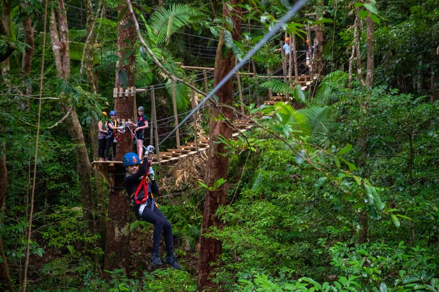 Port Douglas: Daintree National Park Tour, Cruise, & Zipline - Alexandra Lookout and the view toward the reef