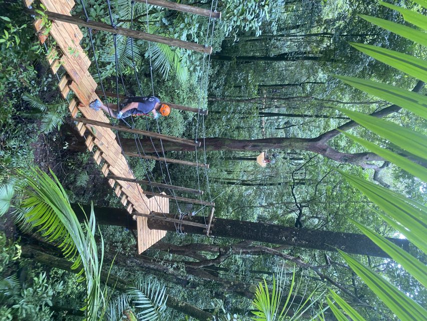 Port Douglas: Daintree National Park Tour, Cruise, & Zipline - The two-hour zipline through the oldest rainforest