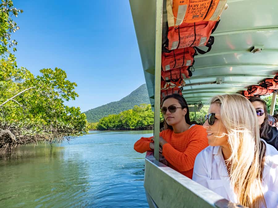 Port Douglas: Daintree Rainforest and Cape Tribulation Tour - Alexandra Lookout and the final wide view