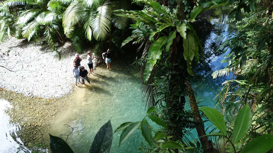 Port Douglas: Daintree Rainforest and Cape Tribulation Tour - Why this Daintree day covers so much