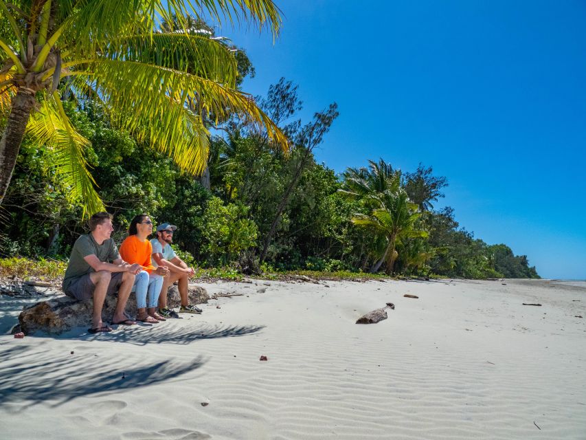 Port Douglas: Daintree Rainforest and Cape Tribulation Tour - Crossing the Daintree River by ferry