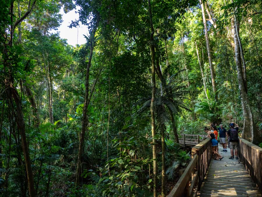 Port Douglas: Daintree Rainforest and Cape Tribulation Tour - Cape Tribulation beaches and the edge of reef country