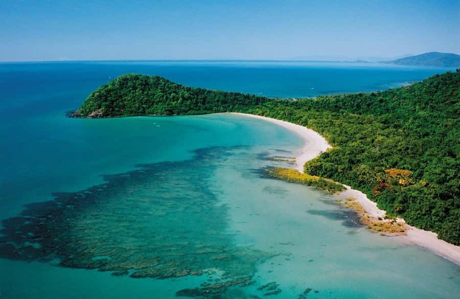 Port Douglas: Daintree Rainforest and Mossman Gorge Tour - Why this Daintree day works so well