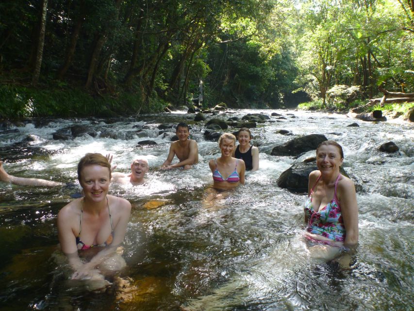 Port Douglas: Daintree Rainforest and Mossman Gorge Tour - The final ice cream stop