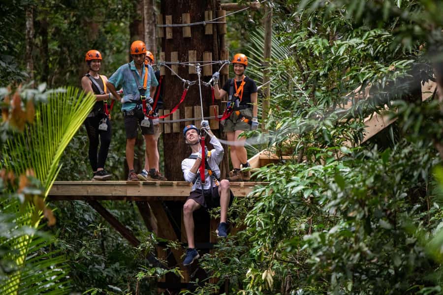 Port Douglas: Daintree Rainforest Canopy Ziplining Tour - What the two-hour route feels like