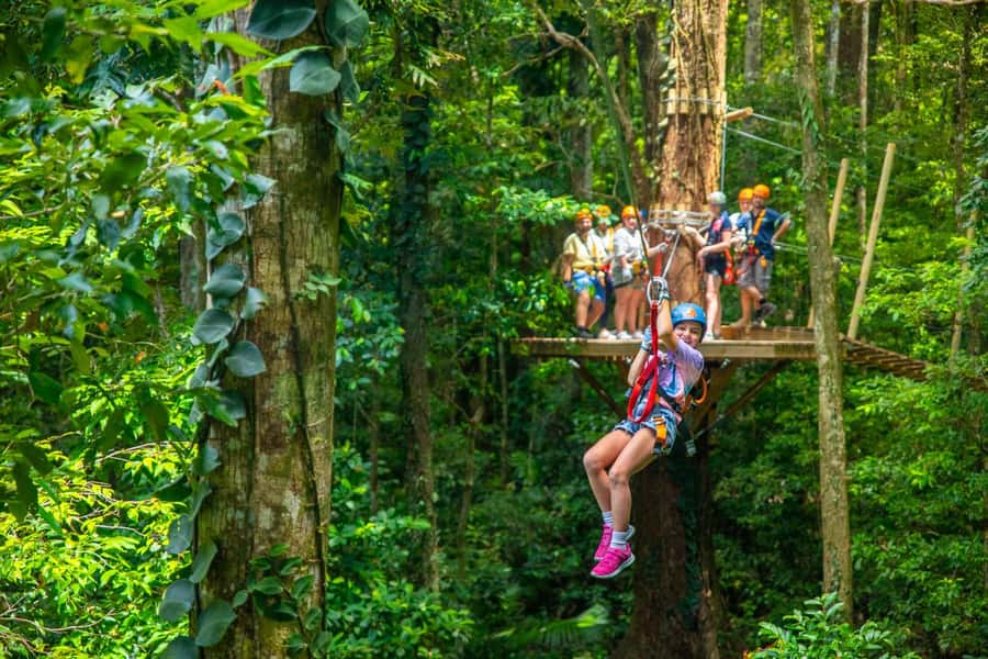 Port Douglas: Daintree Rainforest Canopy Ziplining Tour - Is the tour suitable for families and first-timers?