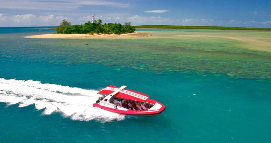 Port Douglas: Half-Day Low Island and Lagoon Snorkeling Tour - Why this Low Isles trip works so well in half a day