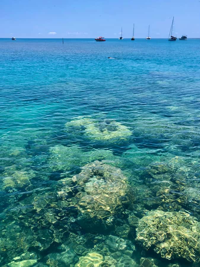 Port Douglas: Half-Day Low Island and Lagoon Snorkeling Tour - Arriving at Low Isles by glass-bottom boat