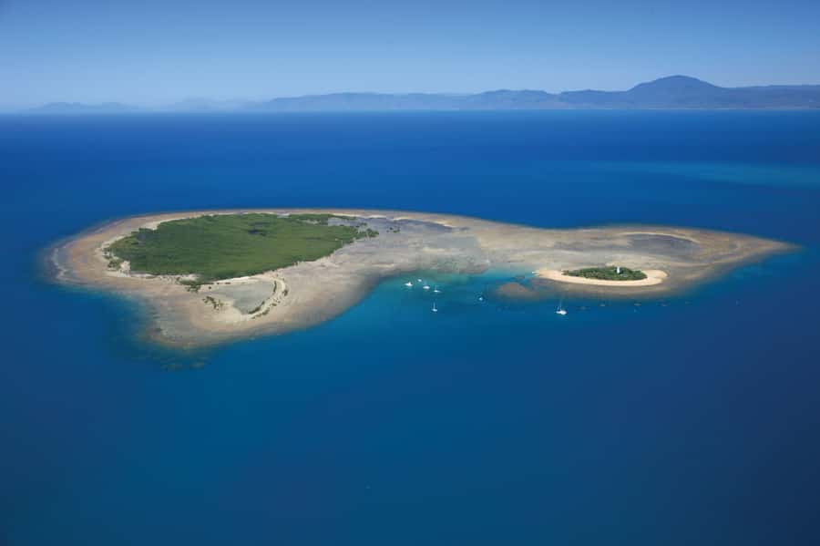 Port Douglas: Low Isles Afternoon Cruise on Luxury Catamaran - Reaching Low Isles and settling into the lagoon