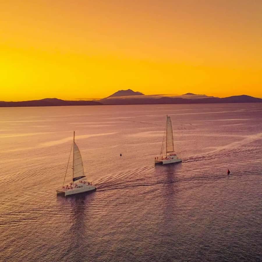 Port Douglas: Low Isles Afternoon Cruise on Luxury Catamaran - Snorkeling with a marine guide