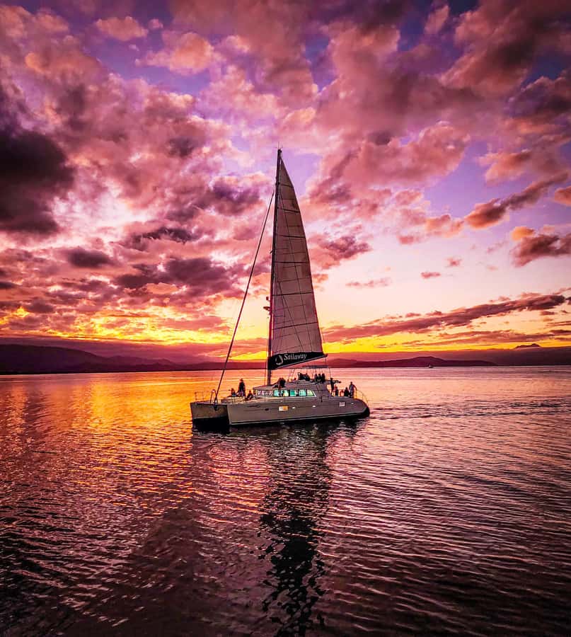 Port Douglas: Low Isles Afternoon Cruise on Luxury Catamaran - The crew and level of service