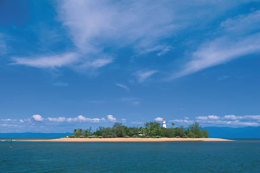 Port Douglas: Low Isles Afternoon Cruise on Luxury Catamaran - What to pack and how to prepare
