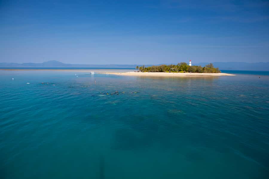 Port Douglas: Low Isles Glass Bottom Boat & Snorkeling Tour - Key points to know before booking