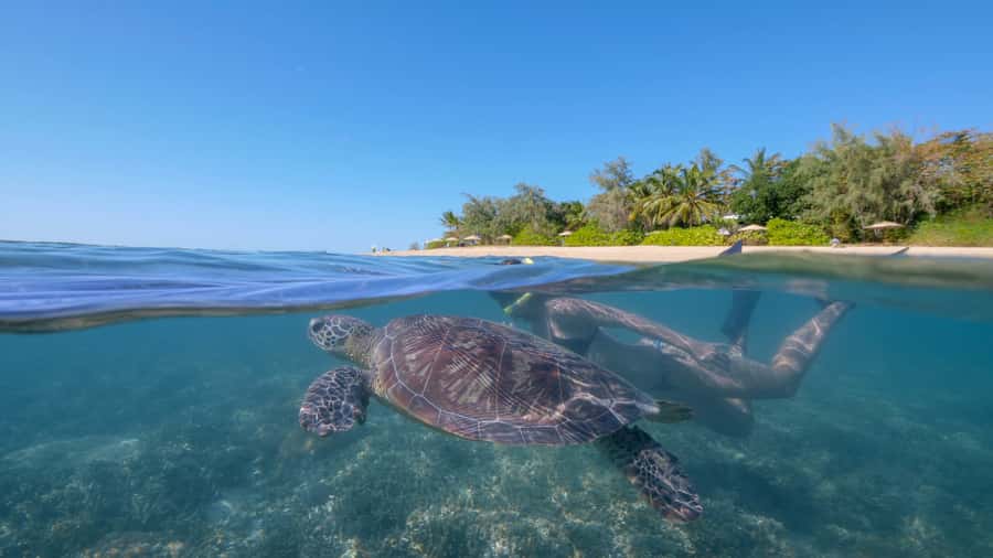 Port Douglas: Low Isles Glass Bottom Boat & Snorkeling Tour - The 30-minute boat ride to Low Isles