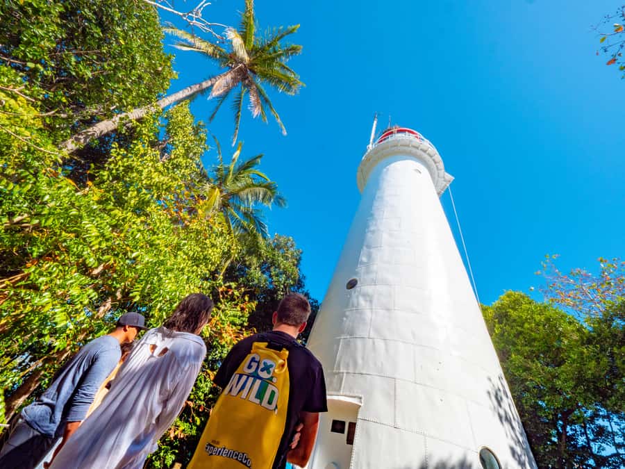 Port Douglas: Low Isles Glass Bottom Boat & Snorkeling Tour - What $135 gets you