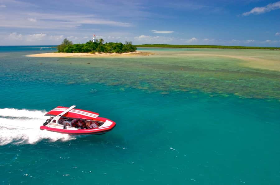 Port Douglas: Low Isles Reef Snorkeling Tour - Why the short trip to Low Isles works so well
