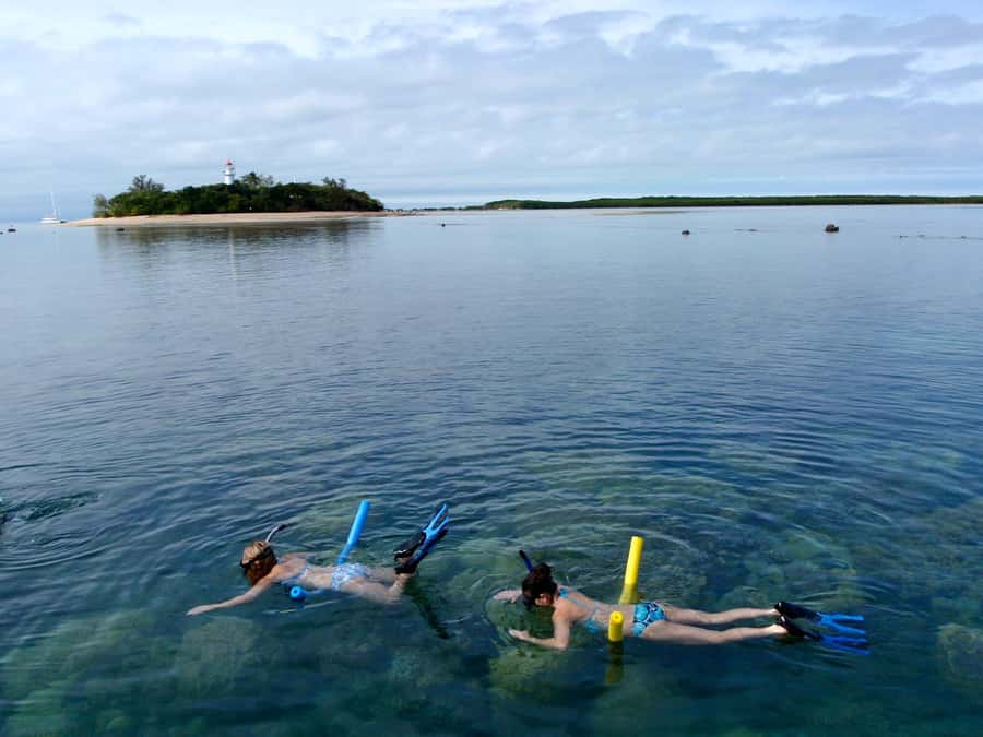 Port Douglas: Low Isles Reef Snorkeling Tour - Is $134 a fair price?