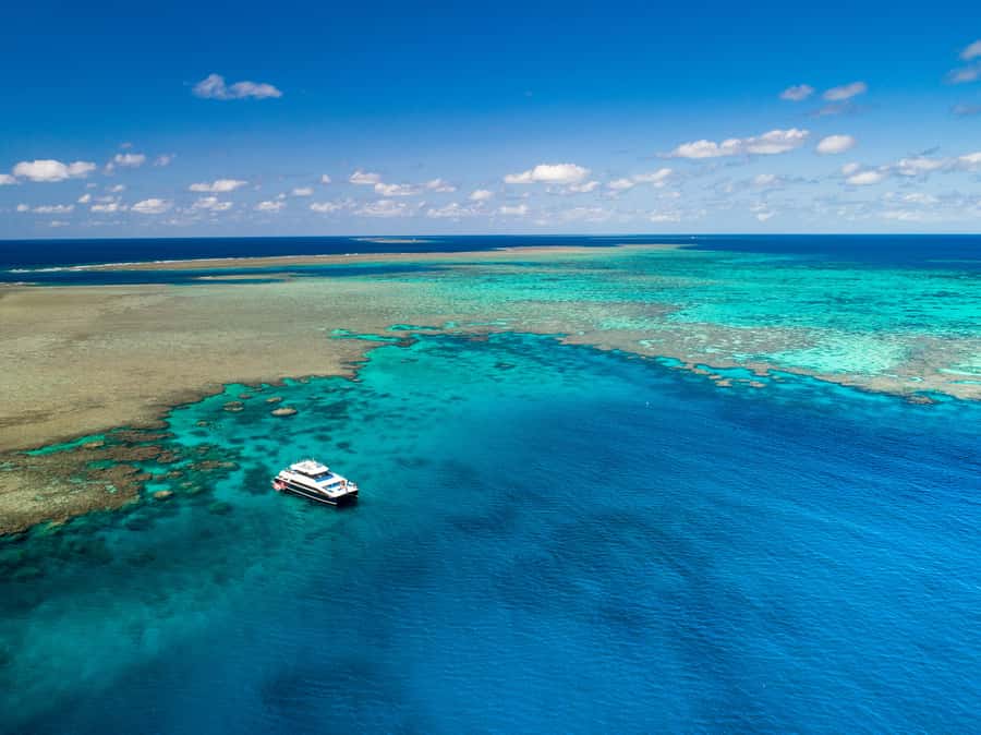 Port Douglas: Outer Barrier Reef Snorkel and Dive Options - Three reef stops give you a better shot at a great day