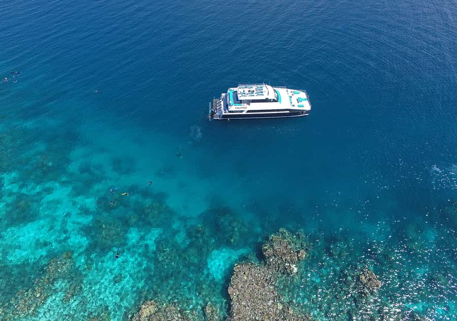 Port Douglas: Outer Barrier Reef Snorkel and Dive Options - The third site gives you room to choose your own pace