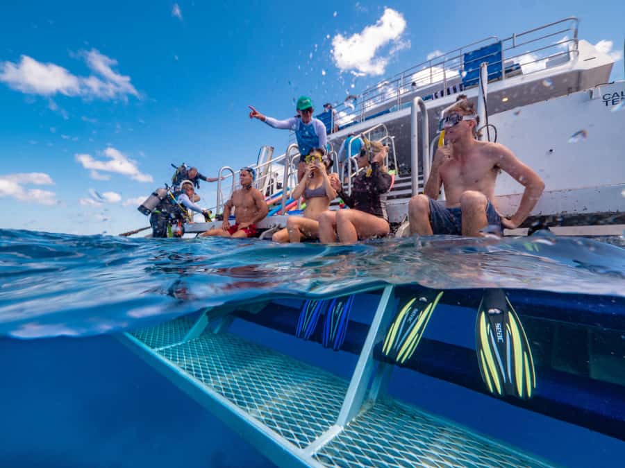 Port Douglas: Outer Barrier Reef Snorkel and Dive Options - What is included, and why it improves the value