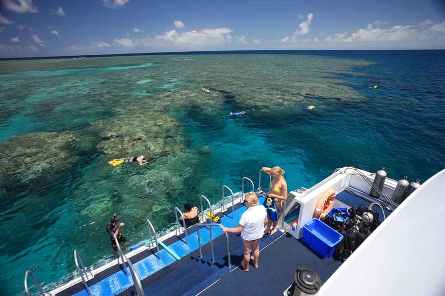 Port Douglas: Outer Barrier Reef Snorkel and Dive Options - Practical preparation for a smoother day