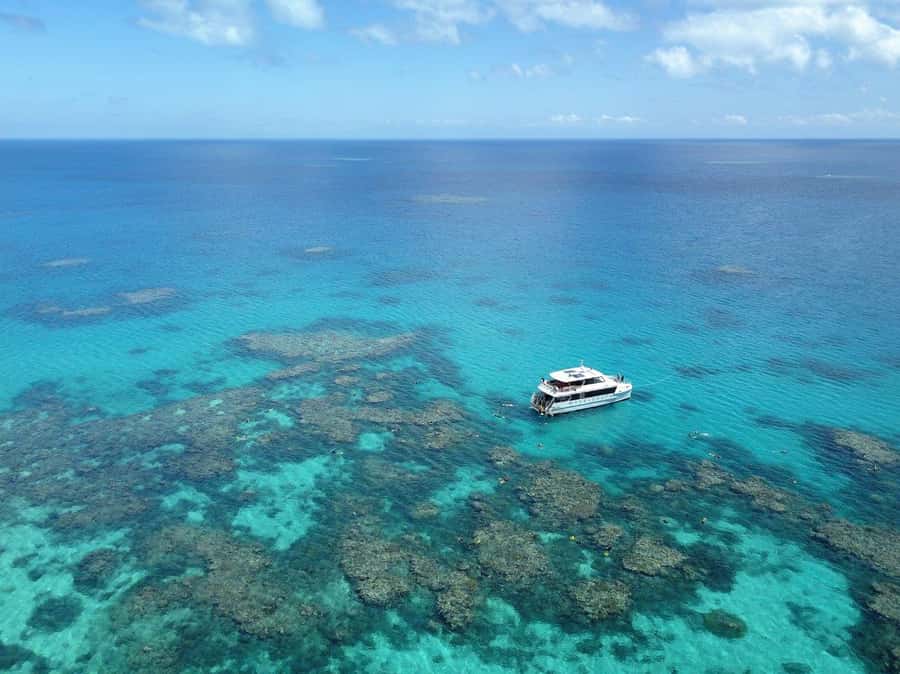 Port Douglas: Outer Great Barrier Reef Snorkeling Cruise - Key points at a glance