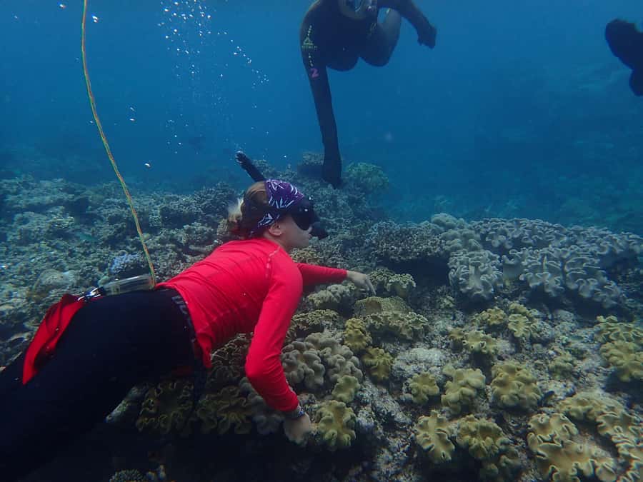 Port Douglas: Outer Great Barrier Reef Snorkeling Cruise - Why this cruise feels different from a basic reef outing