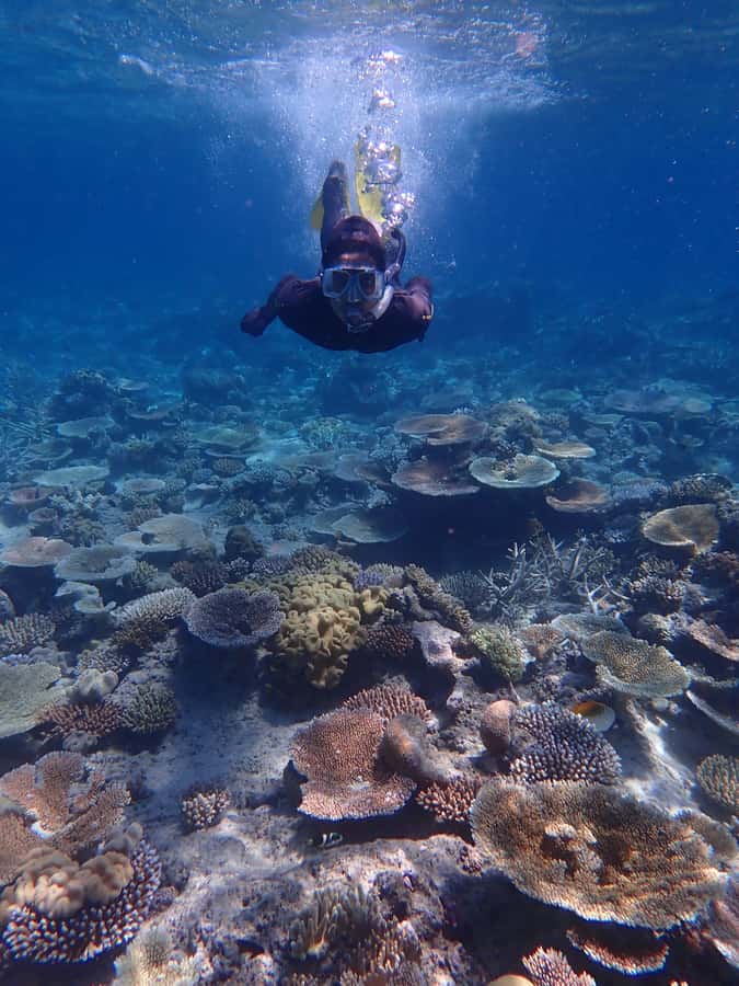 Port Douglas: Outer Great Barrier Reef Snorkeling Cruise - Lunch, reef talk, and a proper pause