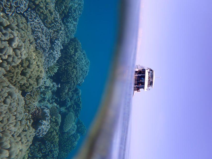 Port Douglas: Outer Great Barrier Reef Snorkeling Cruise - Boat comfort, equipment, and environmental care