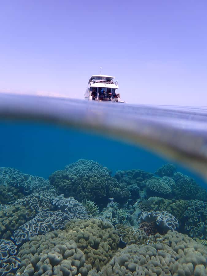 Port Douglas: Outer Great Barrier Reef Snorkeling Cruise - The ride home and the full-day rhythm