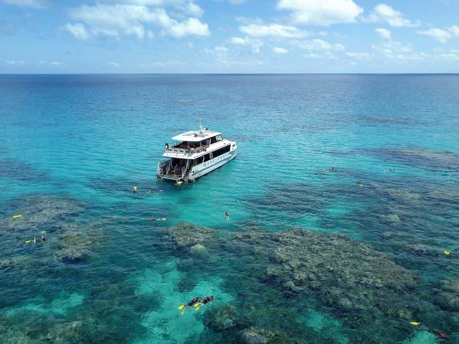 Port Douglas: Outer Great Barrier Reef Snorkeling Cruise - Leaving Port Douglas at 8:10am