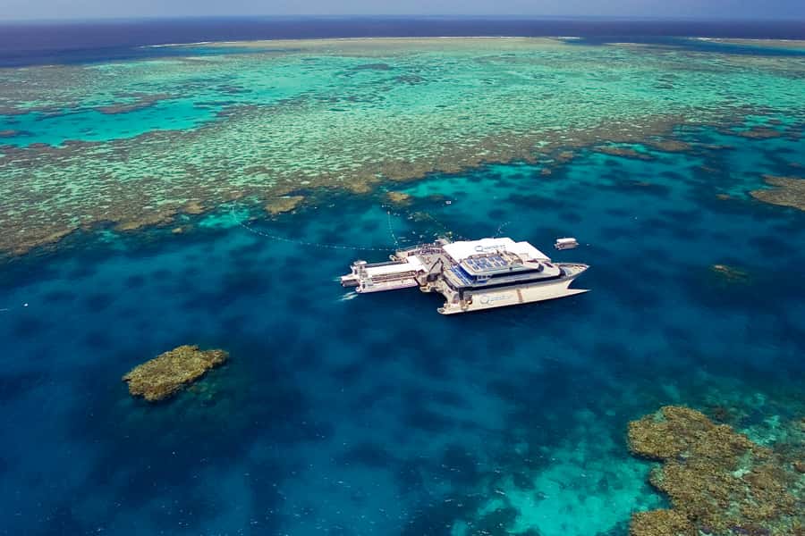 Port Douglas: Quicksilver Outer Barrier Reef Full-Day Cruise - Key points to know before booking
