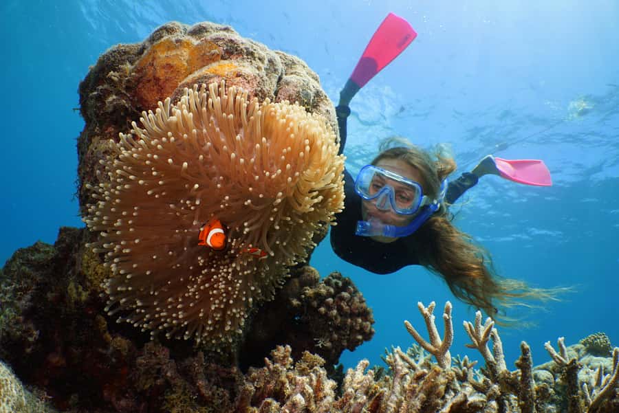 Port Douglas: Quicksilver Outer Barrier Reef Full-Day Cruise - Why Agincourt Reef makes this trip special