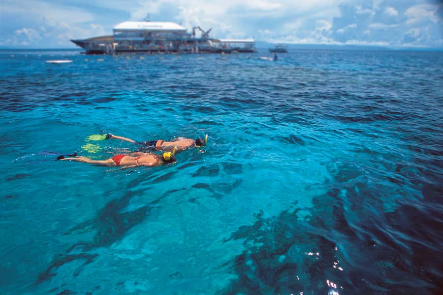Port Douglas: Quicksilver Outer Barrier Reef Full-Day Cruise - Who should choose this Port Douglas reef cruise?