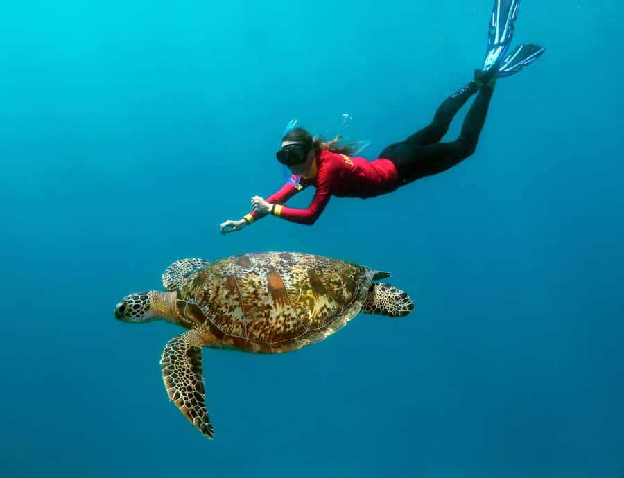 Port Douglas: Quicksilver Outer Barrier Reef Full-Day Cruise - The 1.5-hour catamaran ride from Port Douglas