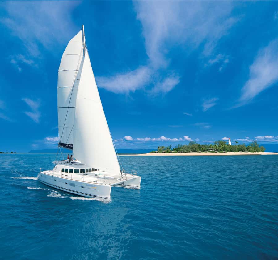 Port Douglas: Reef & Low Isles Cruise on Luxury Catamaran - The morning snorkel and coral gardens
