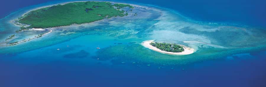 Port Douglas: Reef & Low Isles Cruise on Luxury Catamaran - The heritage walk adds a land-based break