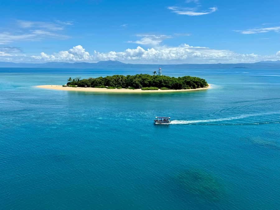 Port Douglas: Reef & Low Isles Cruise on Luxury Catamaran - Glass-bottom viewing for a different angle